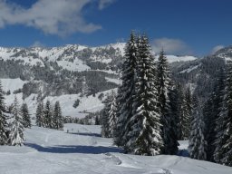 23.03.2008 Balderschwang